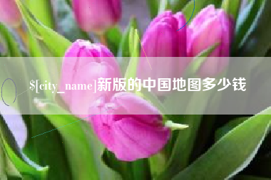 烟台新版的中国地图多少钱
