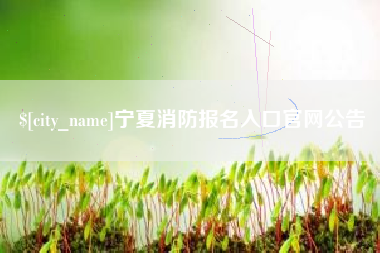 烟台宁夏消防报名入口官网公告