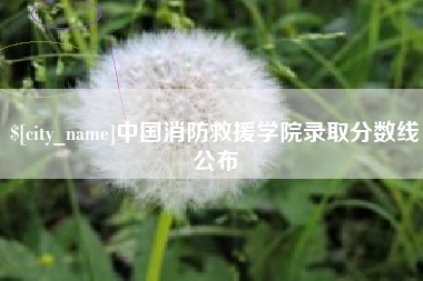 烟台中国消防救援学院录取分数线公布