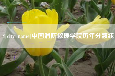 烟台中国消防救援学院历年分数线