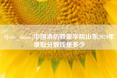 烟台中国消防救援学院山东2020年录取分数线是多少