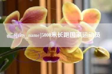 烟台5000米长跑国家运动员