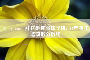 烟台中国消防救援学院2021年浙江省录取分数线