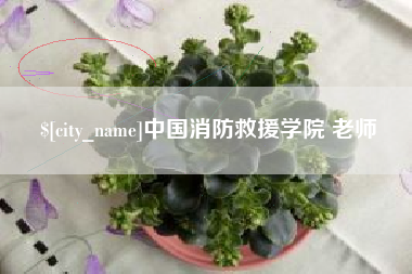 烟台中国消防救援学院 老师