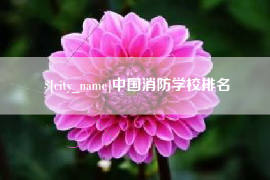 烟台中国消防学校排名