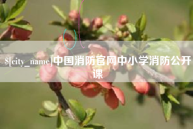 烟台中国消防官网中小学消防公开课