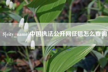 烟台中国执法公开网征信怎么查询
