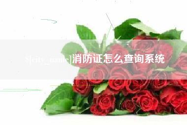 烟台消防证怎么查询系统