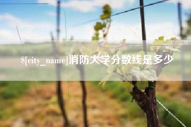 烟台消防大学分数线是多少
