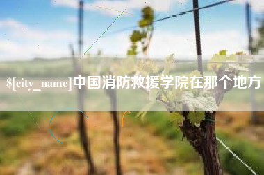 烟台中国消防救援学院在那个地方