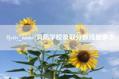 烟台消防学校录取分数线是多少