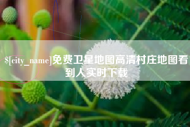 烟台免费卫星地图高清村庄地图看到人实时下载