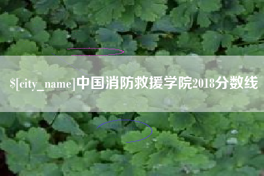 烟台中国消防救援学院2018分数线