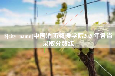 烟台中国消防救援学院2020年各省录取分数线