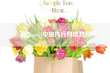烟台中国执行网信息官网