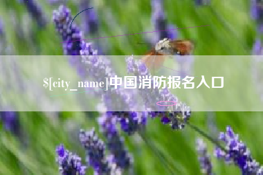 烟台中国消防报名入口