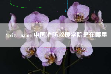 烟台中国消防救援学院是在哪里