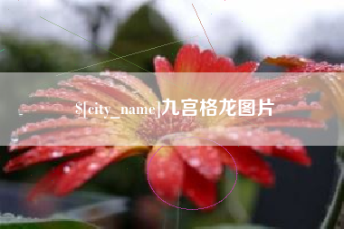 烟台九宫格龙图片