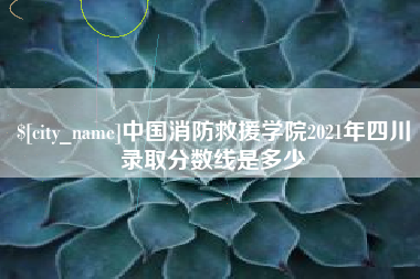 烟台中国消防救援学院2021年四川录取分数线是多少