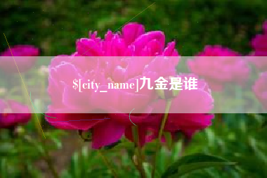 烟台九金是谁