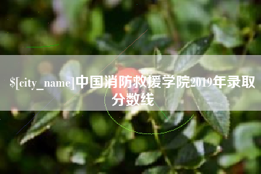 烟台中国消防救援学院2019年录取分数线