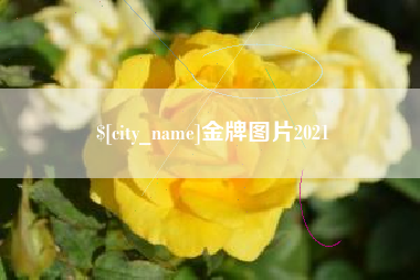 烟台金牌图片2021