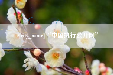 烟台“中国执行公开网”