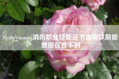 烟台消防职业技能证书查询以前能查现在查不到