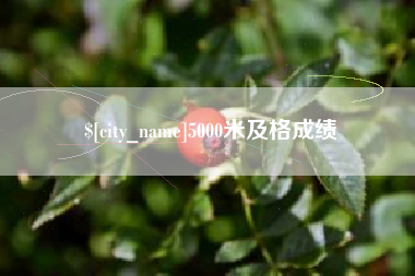 烟台5000米及格成绩