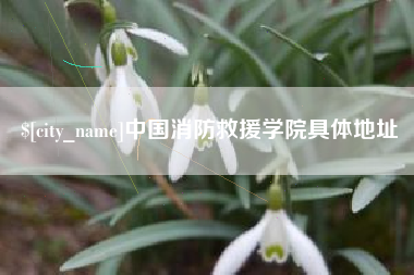 烟台中国消防救援学院具体地址