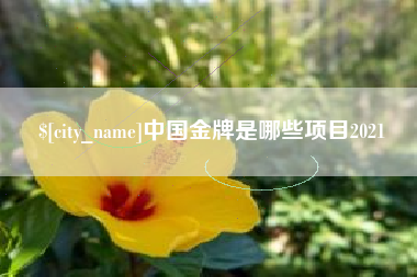 烟台中国金牌是哪些项目2021
