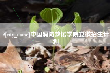 烟台中国消防救援学院安徽招生计划