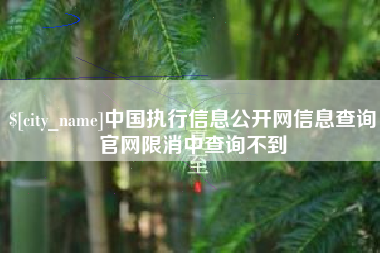 烟台中国执行信息公开网信息查询官网限消中查询不到