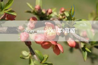 烟台2021年9宫格