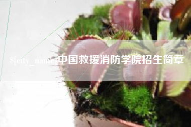 烟台中国救援消防学院招生简章