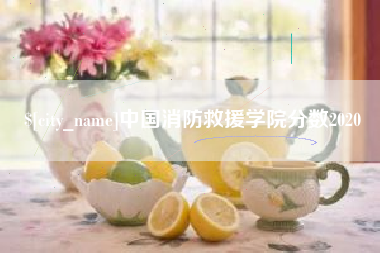 烟台中国消防救援学院分数2020