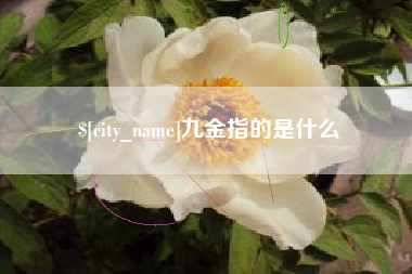 烟台九金指的是什么