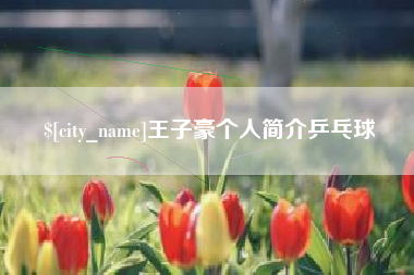 烟台王子豪个人简介乒乓球