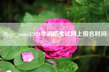 烟台2020年消防考试网上报名时间