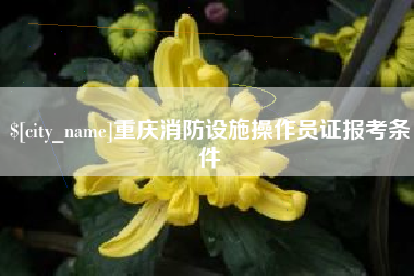 烟台重庆消防设施操作员证报考条件