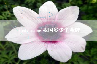 烟台我国多少个金牌