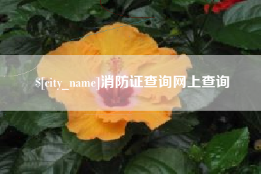 烟台消防证查询网上查询