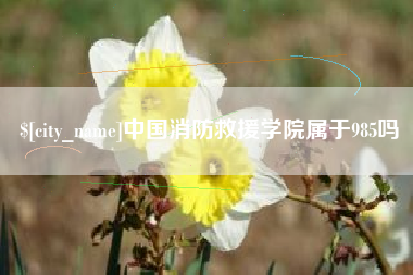 烟台中国消防救援学院属于985吗
