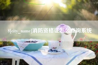 烟台消防资格证怎么查询系统