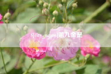 烟台第九金是