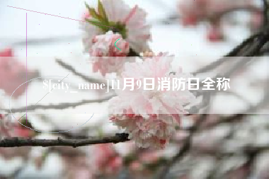烟台11月9日消防日全称