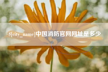 烟台中国消防官网网址是多少