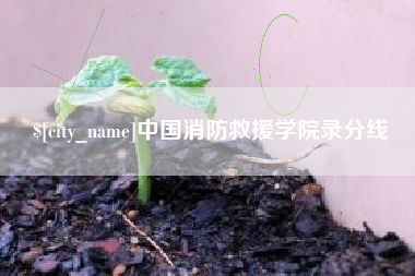烟台中国消防救援学院录分线