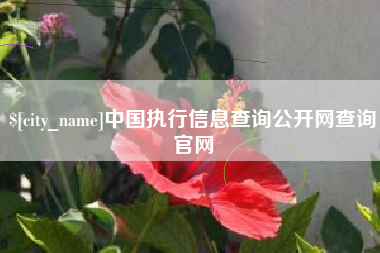 烟台中国执行信息查询公开网查询官网