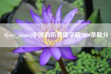 烟台中国消防救援学院2020录取分